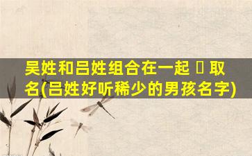 吴姓和吕姓组合在一起 ☘ 取名(吕姓好听稀少的男孩名字)